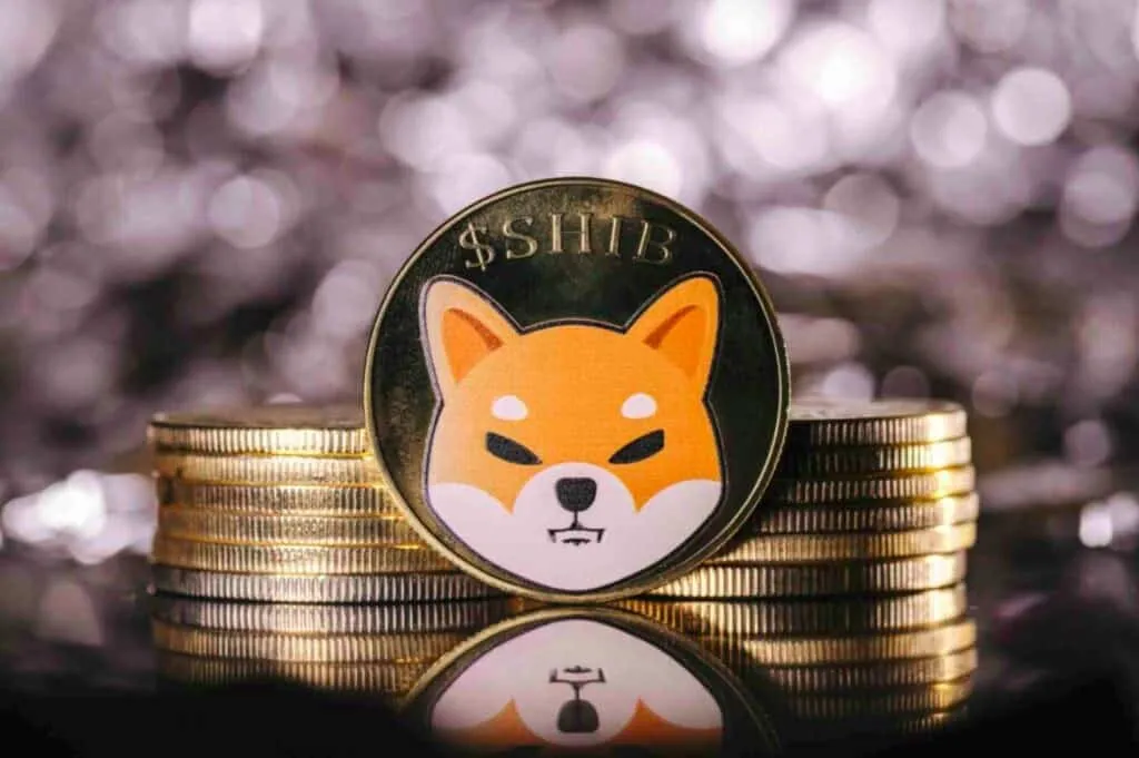 加密货币柴犬（SHIB）将迎来100%的反弹：分析师正在关注关键水平